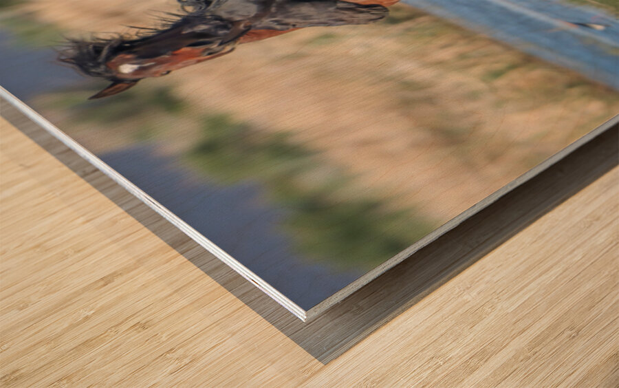 Nevada Virginia Range Series 26 Wood print