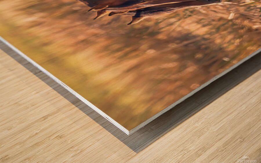 Nevada Virginia Range Series 34 Wood print