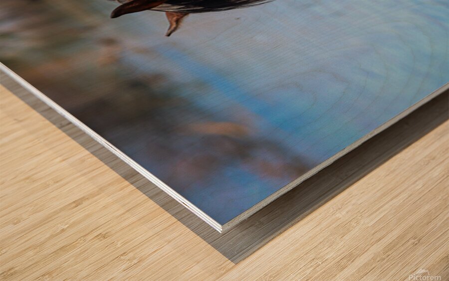 Nevada Virginia Range Series 36 Wood print