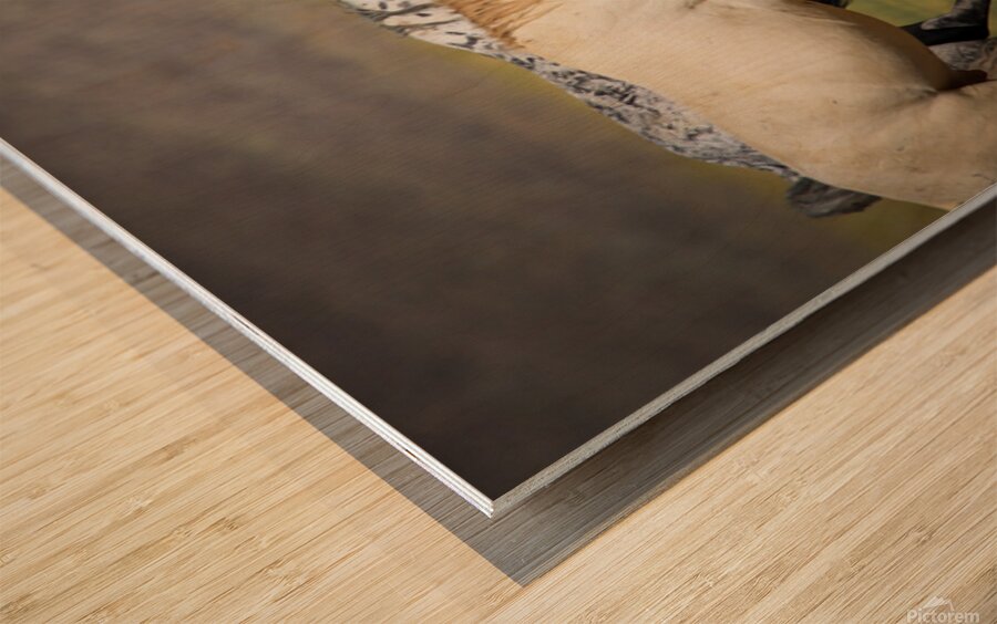 Mono Lake Wild Horse Series 1 Wood print