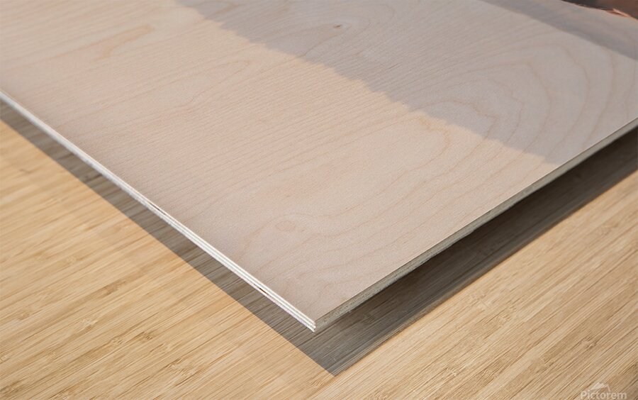 Mono Lake Wild Horse Series 1 Impression sur bois