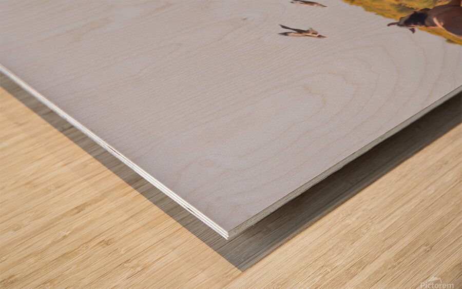 Mono Lake Wild Horse Series 1 Wood print