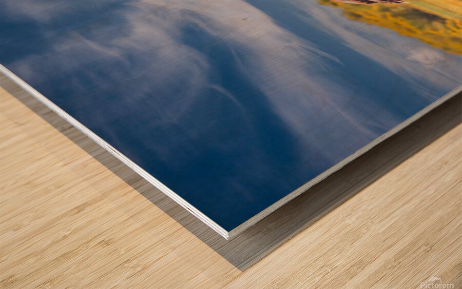 Mono Lake Wild Horse Series 1 Wood print