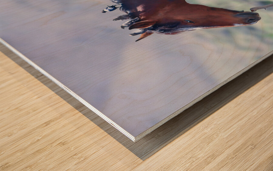 Nevada Mustang series1 1 Wood print