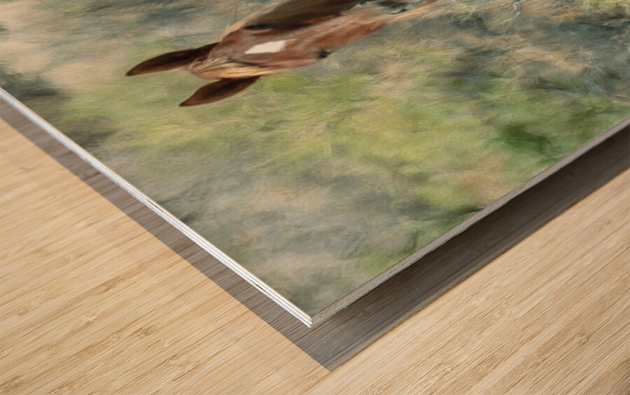 Nevada Mustang series 11 1 Wood print