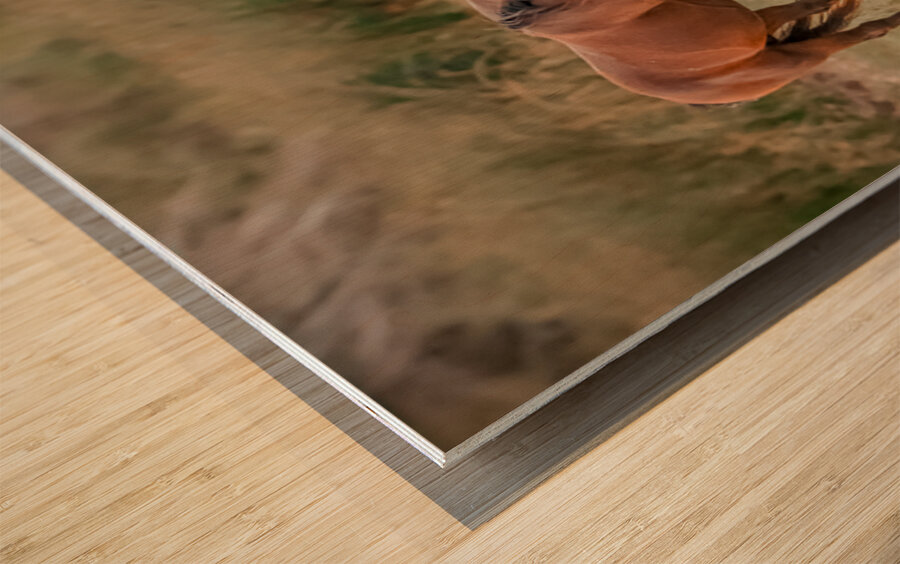 Nevada wild  Series VR1 1 Wood print