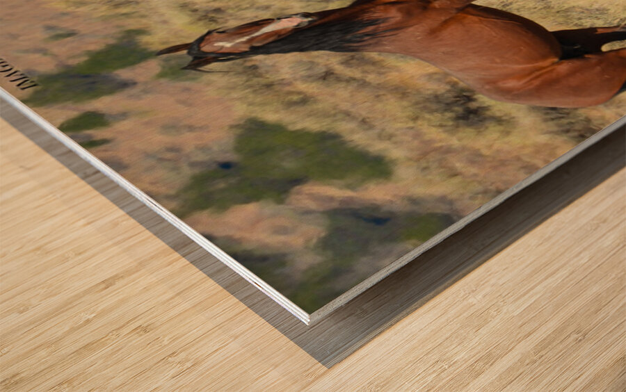 Nevada Mustang 2 2 Impression sur bois