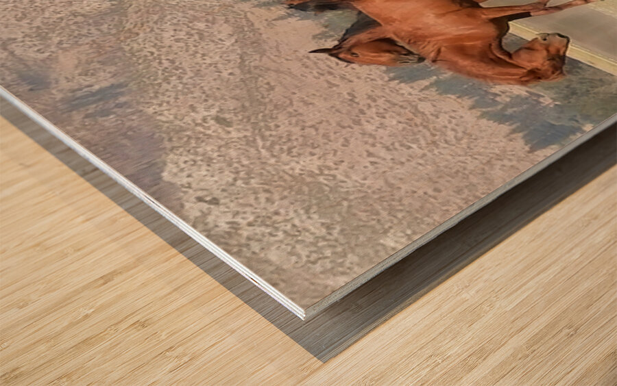 Nevada Wild 15 1 Impression sur bois