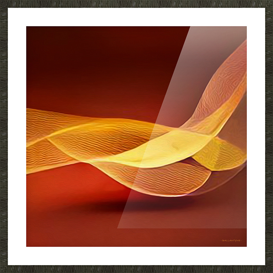 Amber Samba  4 Picture Frame print