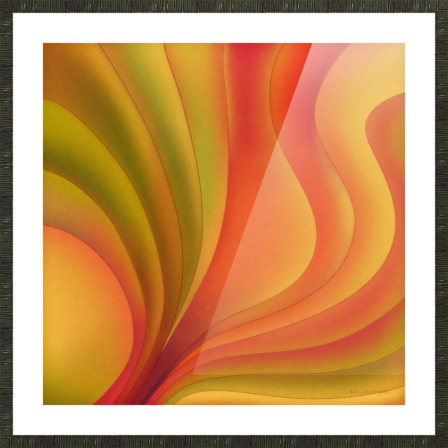 Hyperbolic Mango  3 Picture Frame print
