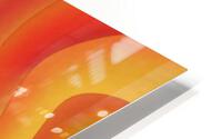 Hyperbolic Mango  3 HD Metal print
