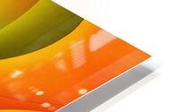 Hyperbolic Mango  1 HD Metal print