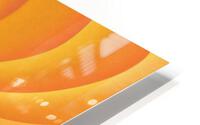 Hyperbolic Mango  4 HD Metal print