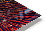 Xango 4 HD Metal print