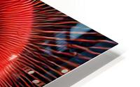Xango 2 HD Metal print
