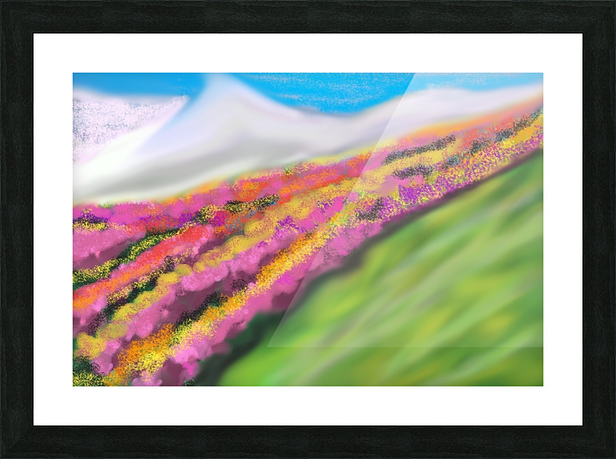  Fine Art print