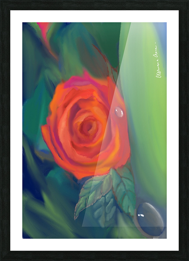 Roses Picture Frame print