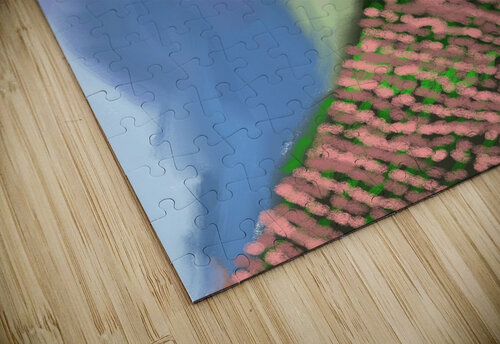 The Road Isra Aara Ibrahim Shafeeu puzzle