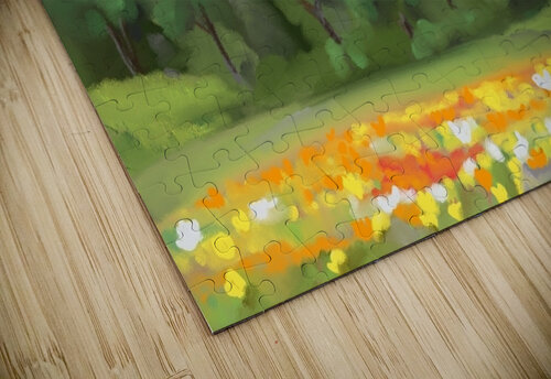 Somewhere beautiful Isra Aara Ibrahim Shafeeu puzzle