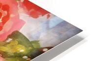 Beautiful Roses HD Metal print