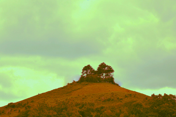 jpt 555ghh Digital Download