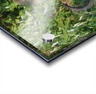 JPTCM 6 Acrylic print