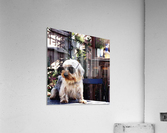 JPT 0901SS Acrylic Print