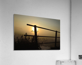 JPT_8955J Acrylic Print