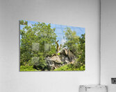 JAM 0531 Acrylic Print