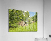 JAM 0530 Acrylic Print