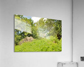 JAM 0532 1 Acrylic Print