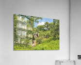 JAM 0529 1 Acrylic Print