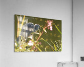 JPT  G5078 Acrylic Print