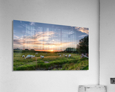 JPT 62119 Acrylic Print