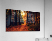 JPT 216798 Acrylic Print