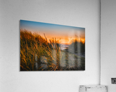 JPT 22024 Acrylic Print
