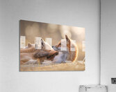 FOXY 1 Acrylic Print