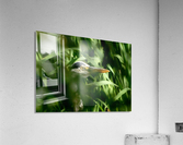 JPT close up Acrylic Print