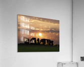 JPT 1003 Acrylic Print