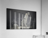 JPT 55RT7 Acrylic Print