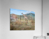 JPTCM 7 Acrylic Print