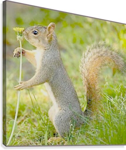 JPT 2130 Canvas Print