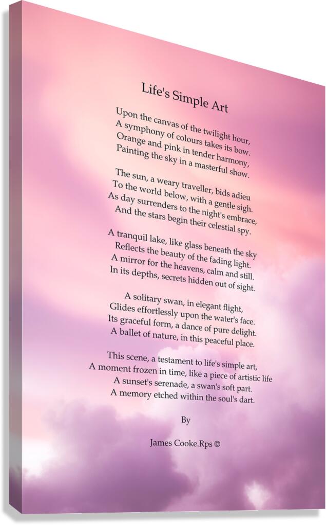  Life s Simple Art3 Canvas Print