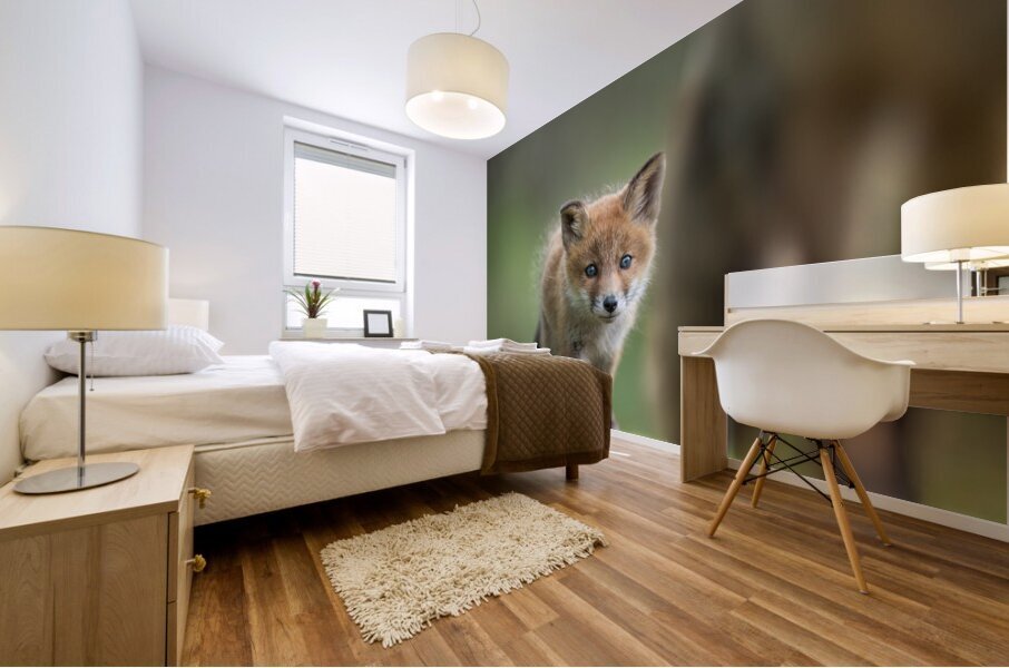 4 day fox cub Mural print