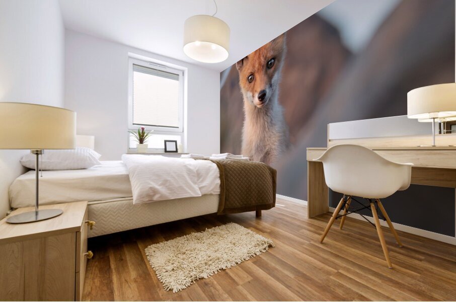 Fox cub Mural print