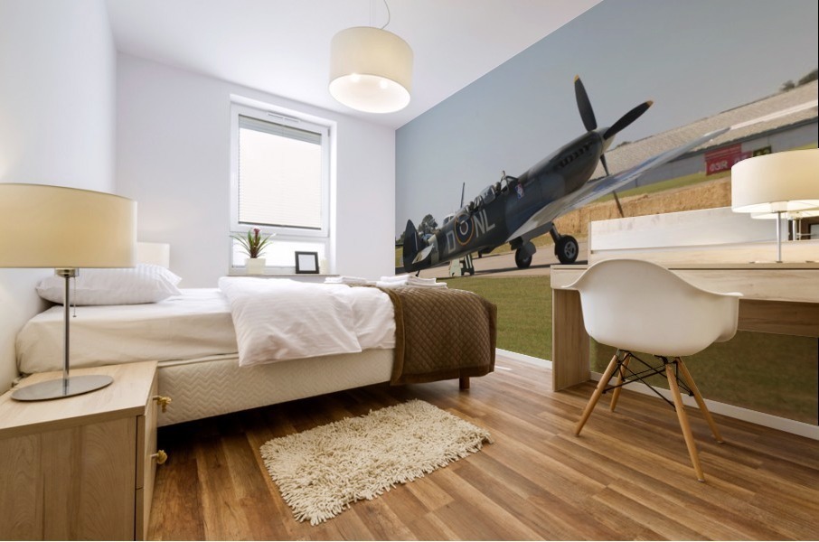 JPT_4893 Mural print