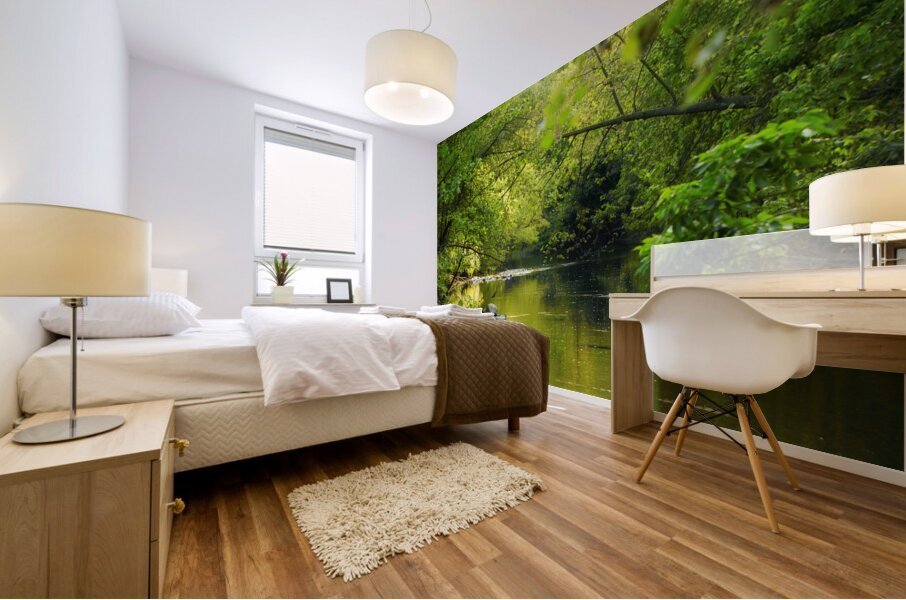 JPT 719 RT1 Mural print
