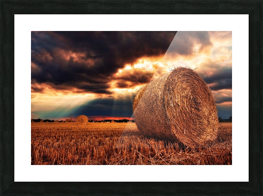 JPT 6091X Picture Frame print