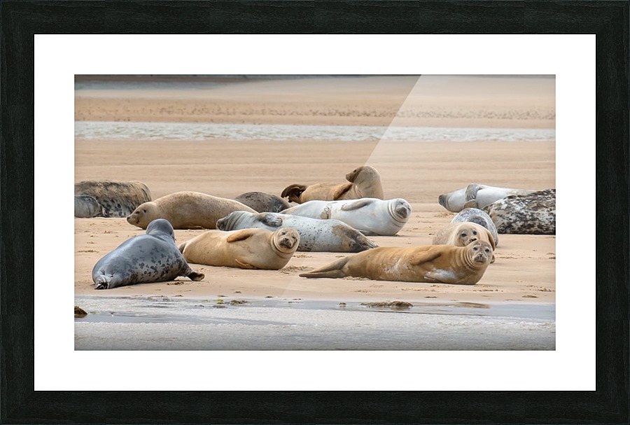 JPT 7342S Picture Frame print