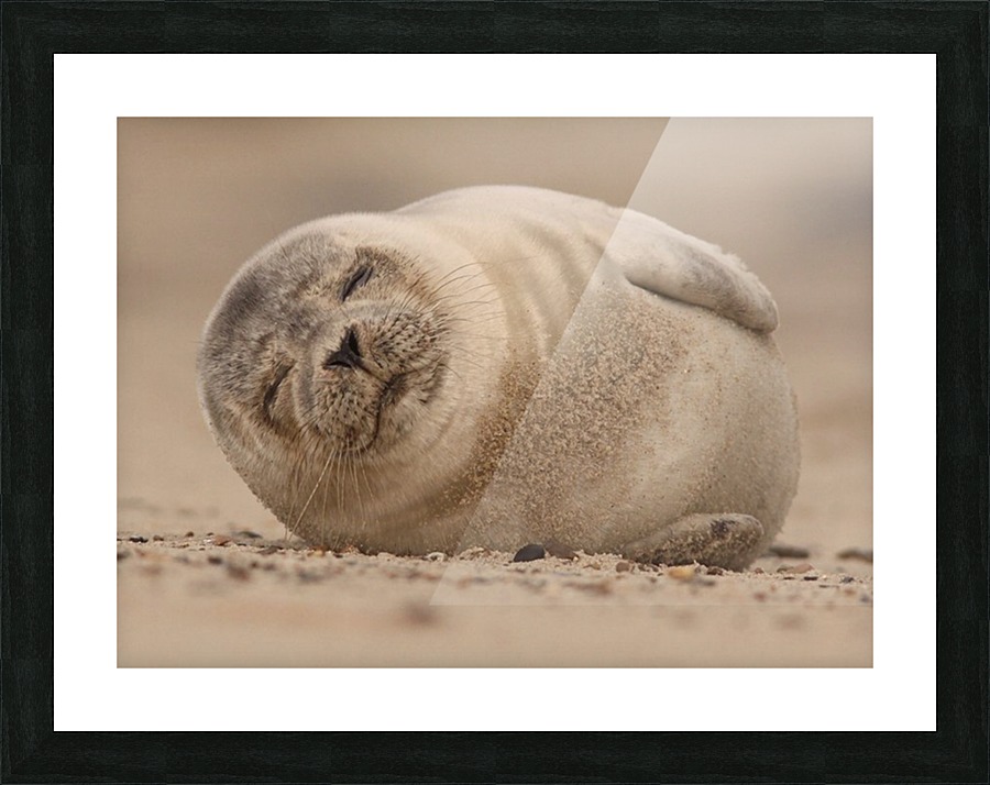 JPT 6519s Picture Frame print